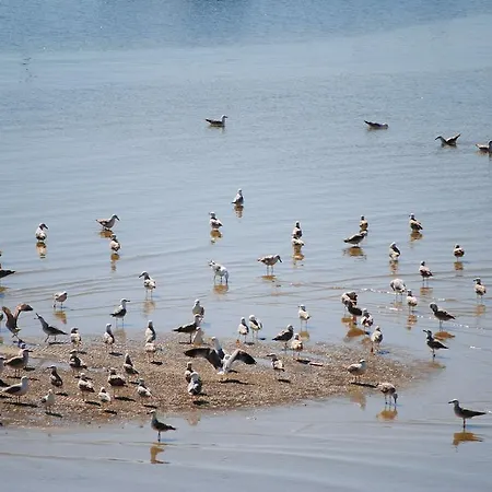ゲストハウス Split - Free Parking Included