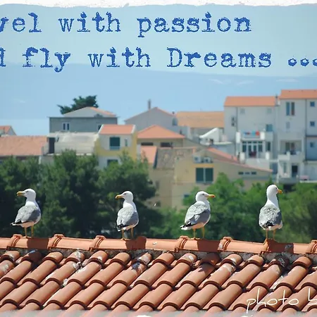 Split - Free Parking Included 3*